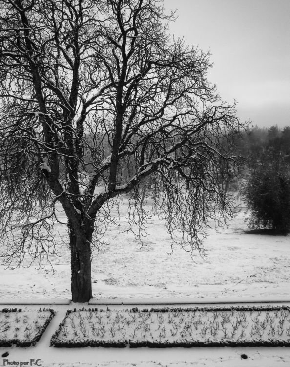 Wallpapers Nature Saisons - Winter Neige au parc du Chteau de la Verrerie