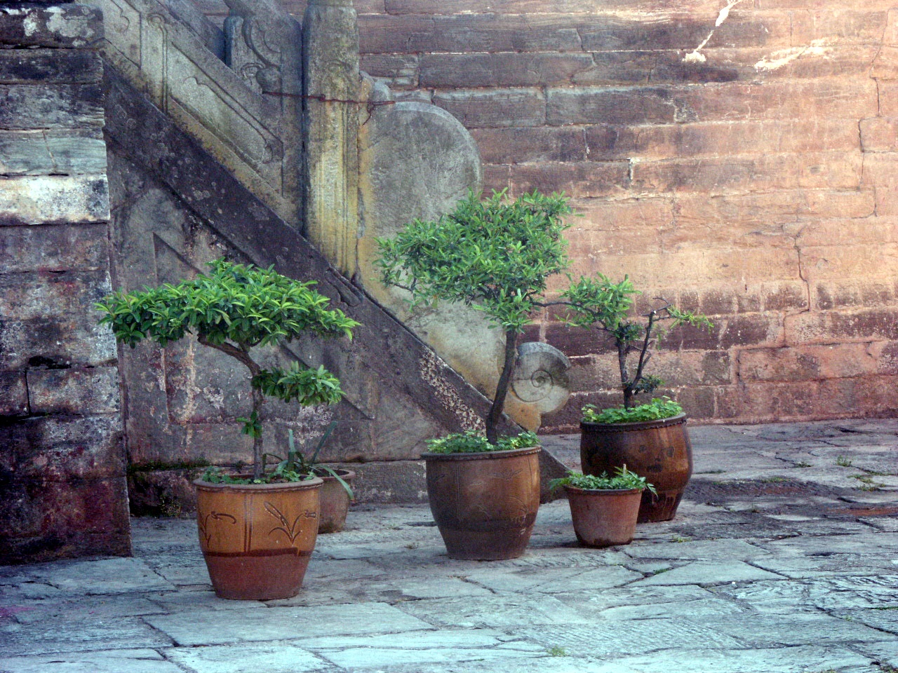 Fonds d'cran Voyages : Asie Chine bonsai chinois 2