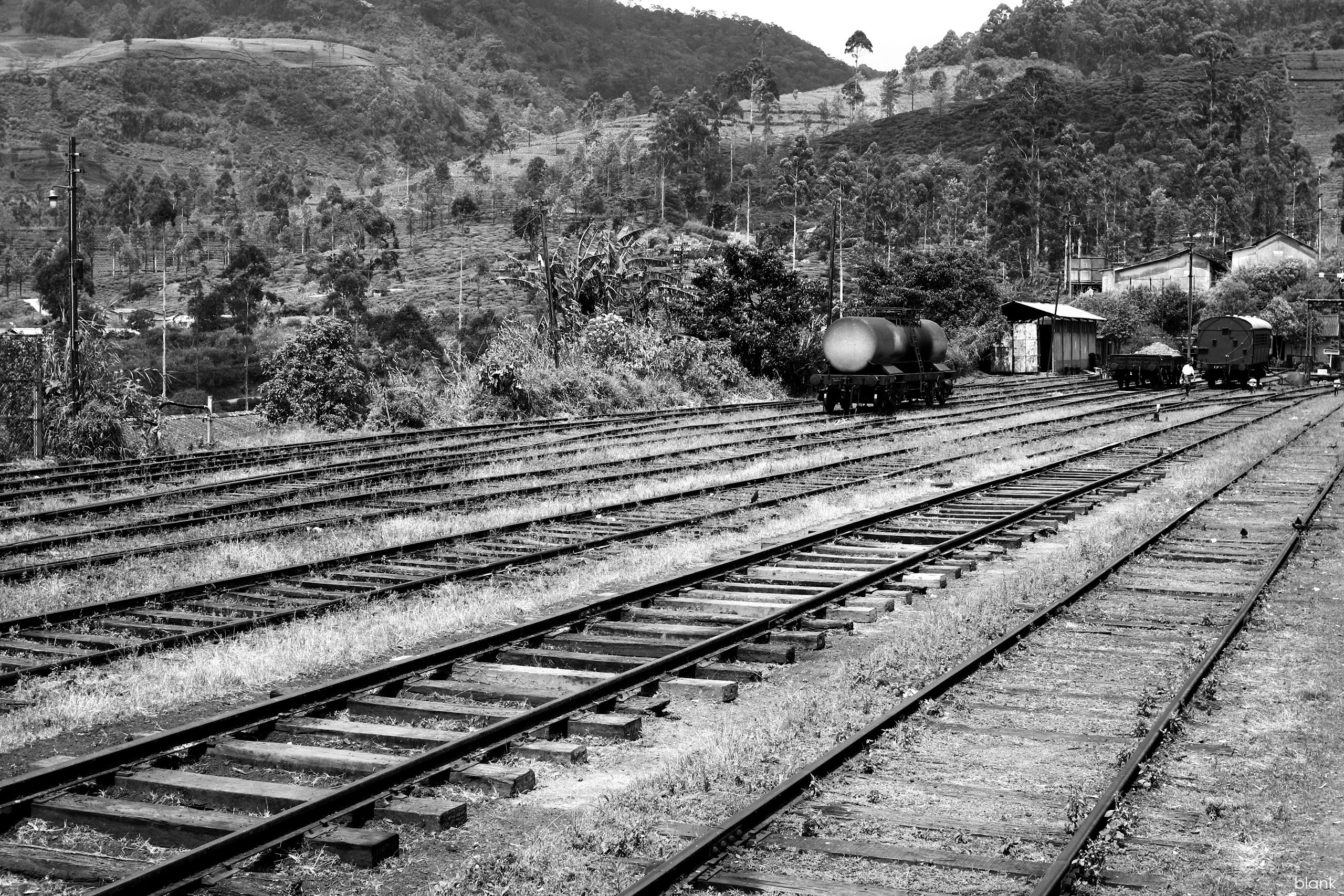 Wallpapers Various transports Trains Railroad to the jungle