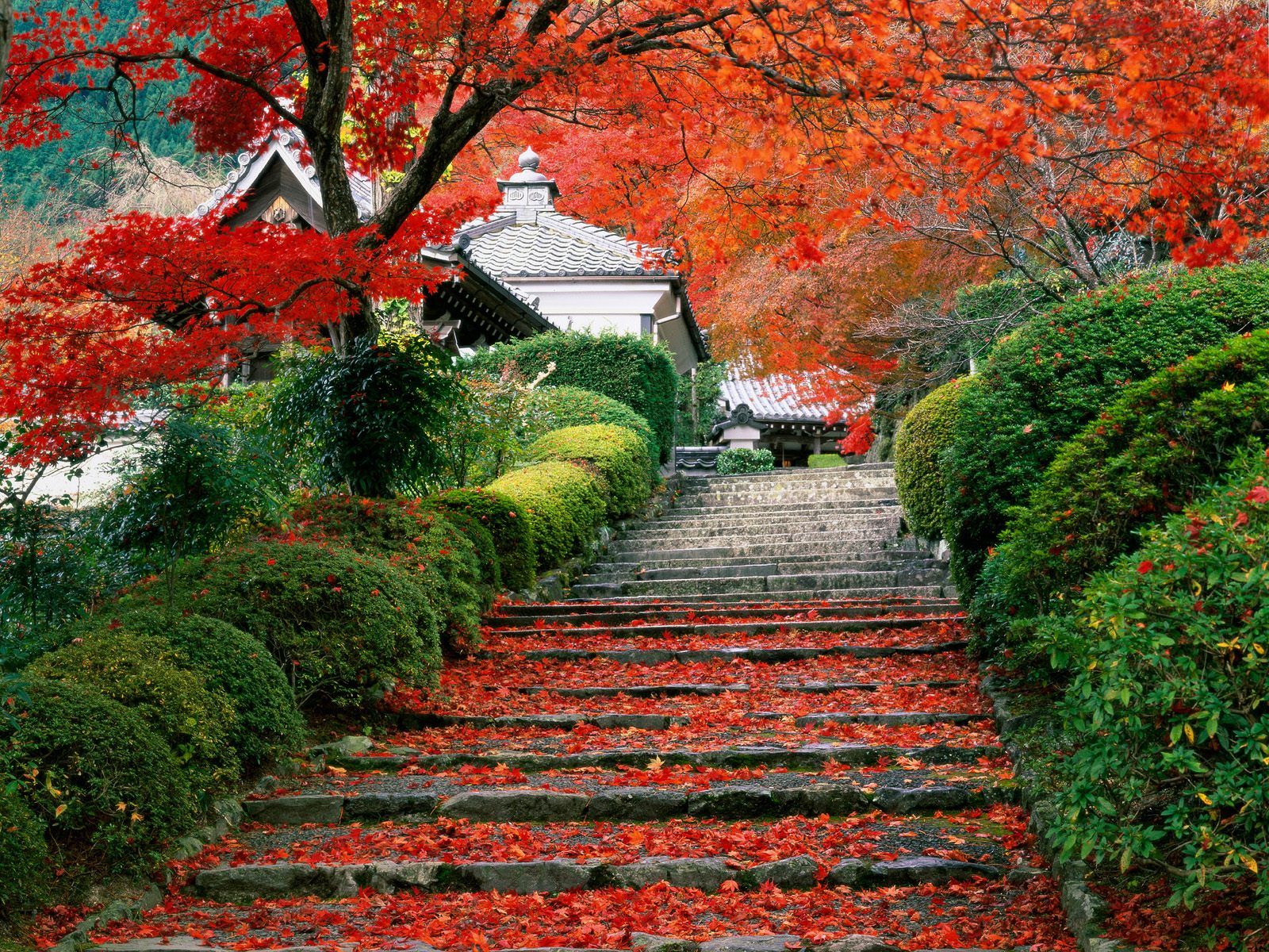 Fonds d'cran Voyages : Asie Japon Japon