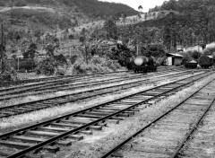  Transports divers Railroad to the jungle
