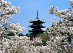  Trips : Asia Japon