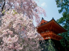  Voyages : Asie Japon