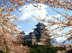  Trips : Asia Japon