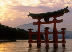  Trips : Asia Japon