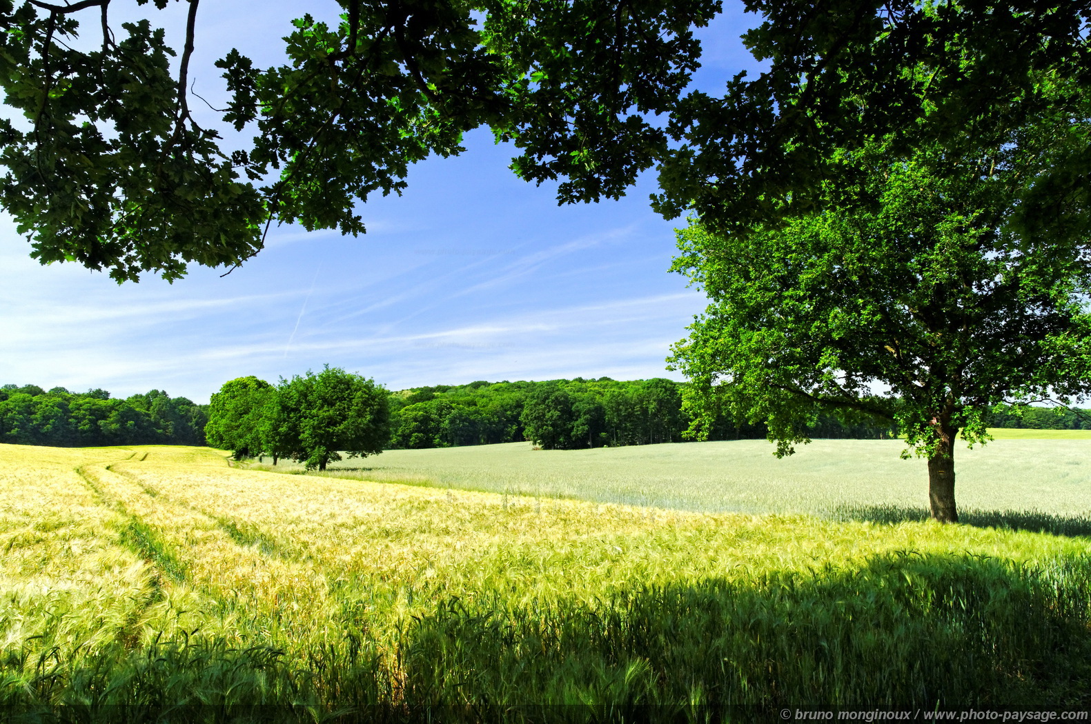 Fonds d'cran Nature Campagne Paysage de campagne