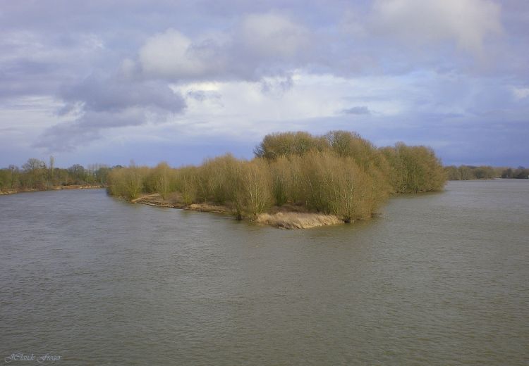 Wallpapers Nature Rivers - Torrents La Loire Fleuve sauvage et ses multiples les 