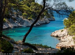  Nature Beaut des calanques