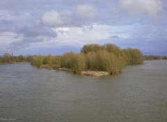  Nature La Loire Fleuve sauvage et ses multiples les 