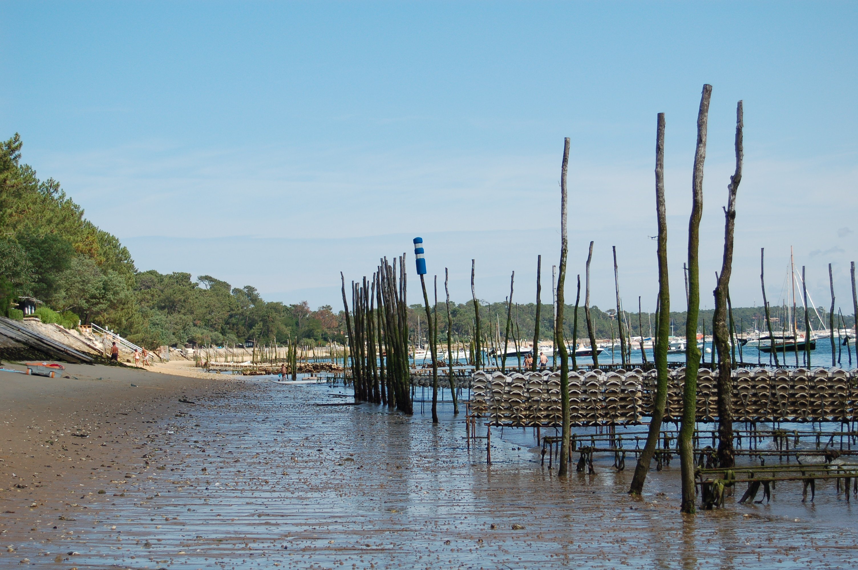 Fonds d'cran Nature Mers - Ocans - Plages parcs  huitres