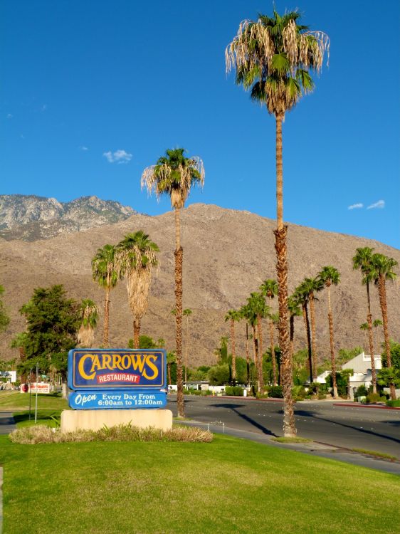 Fonds d'cran Voyages : Amrique du nord Etats-Unis Palm springs (Californie)