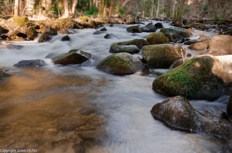 Wallpapers Nature Rivers - Torrents paysages vosgiens