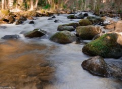  Nature paysages vosgiens