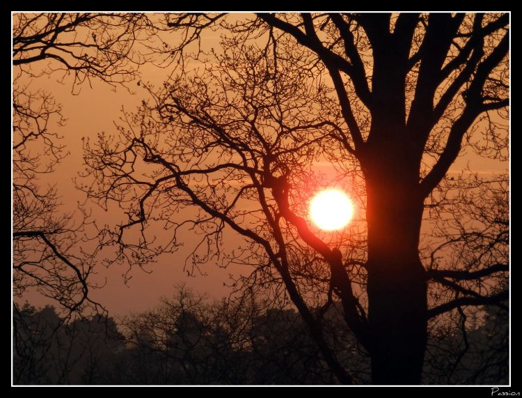 Fonds d'cran Nature Couchers et levers de Soleil Lever de soleil