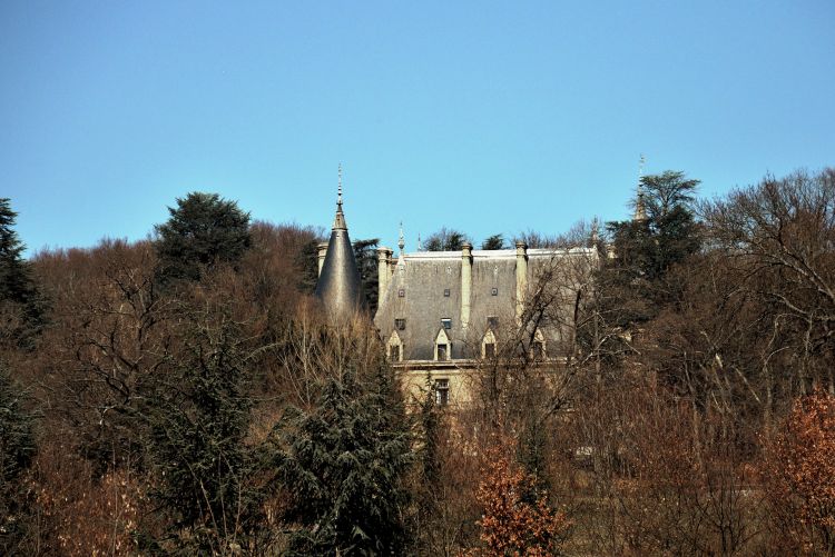 Fonds d'cran Constructions et architecture Chteaux - Palais chateau Valbois ,l 'Etrat ,Loire 42