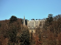  Constructions et architecture chateau Valbois ,l 'Etrat ,Loire 42