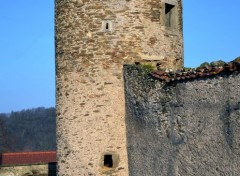  Constructions and architecture Chateau Vivert ,l 'Etrat ,Loire 42