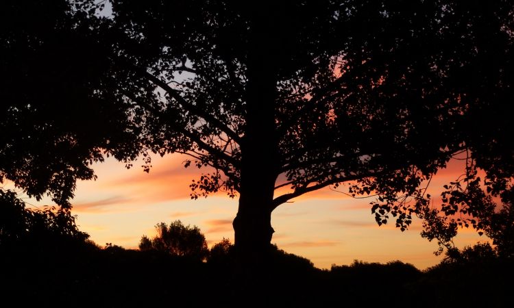 Fonds d'cran Art - Numrique Nature - Ciels, couchers de soleil Sunset New Zealand