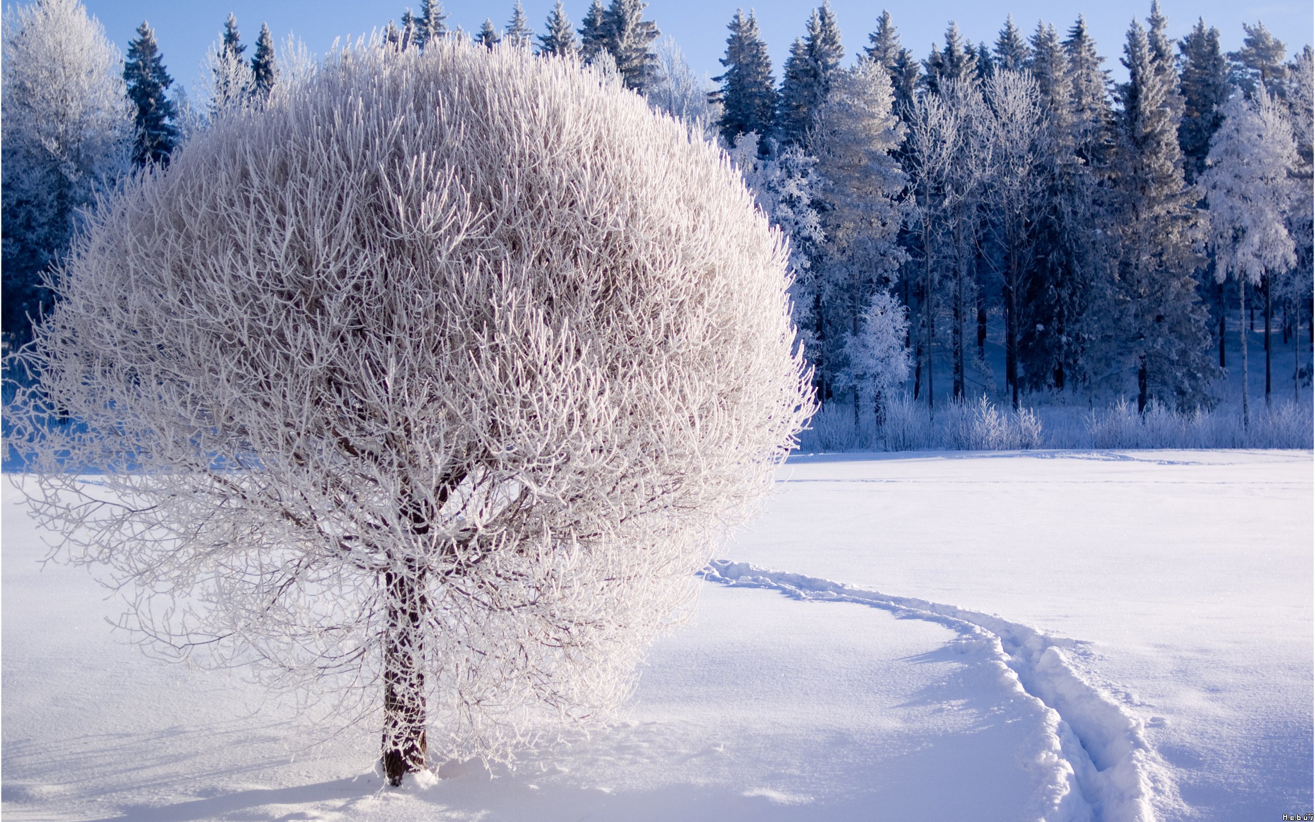 Wallpapers Nature Saisons - Winter 