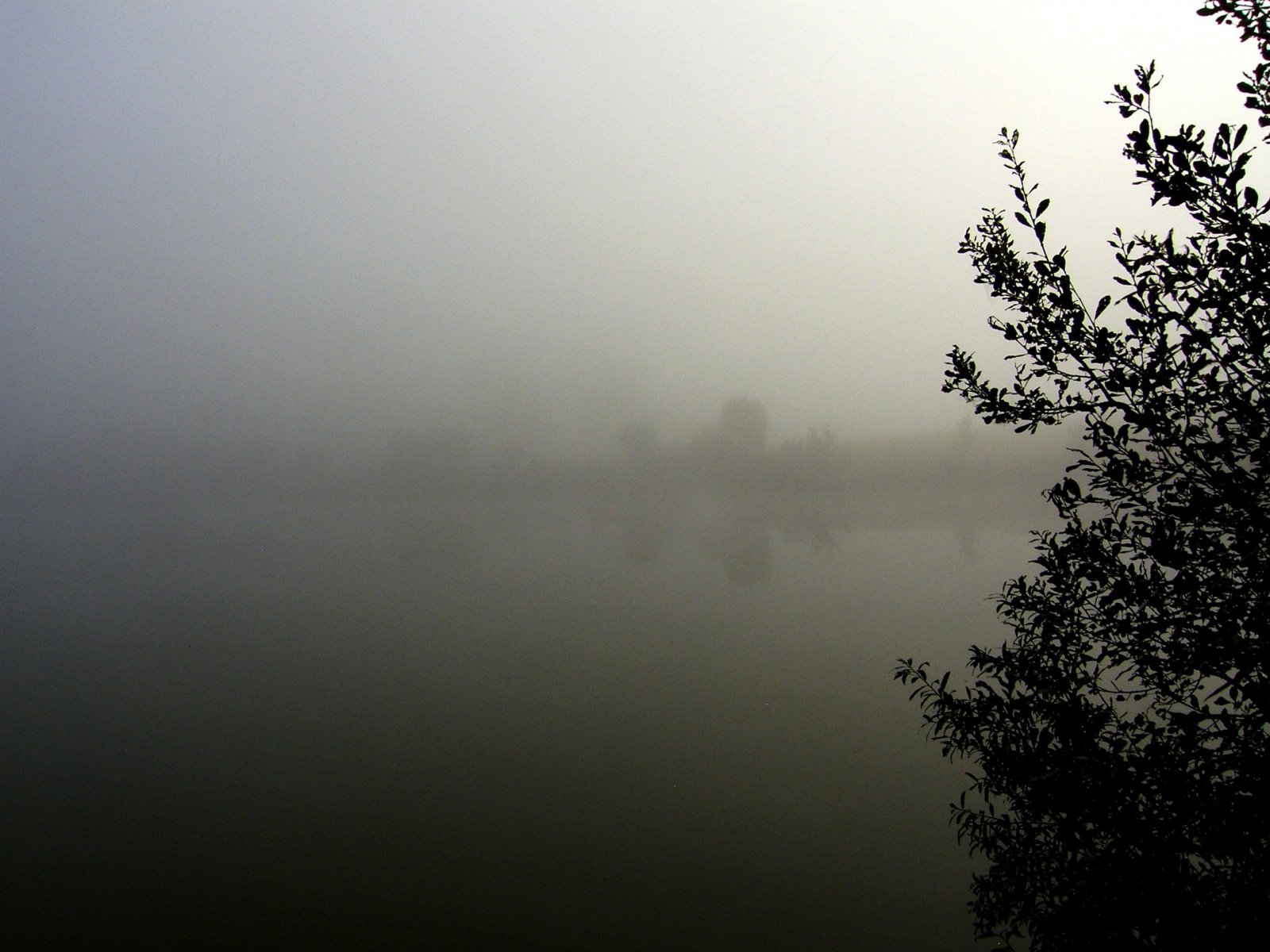 Fonds d'cran Nature Lacs - Etangs 