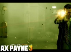  Video Games max payne 3