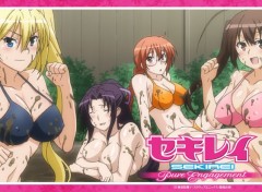  Manga Sekirei