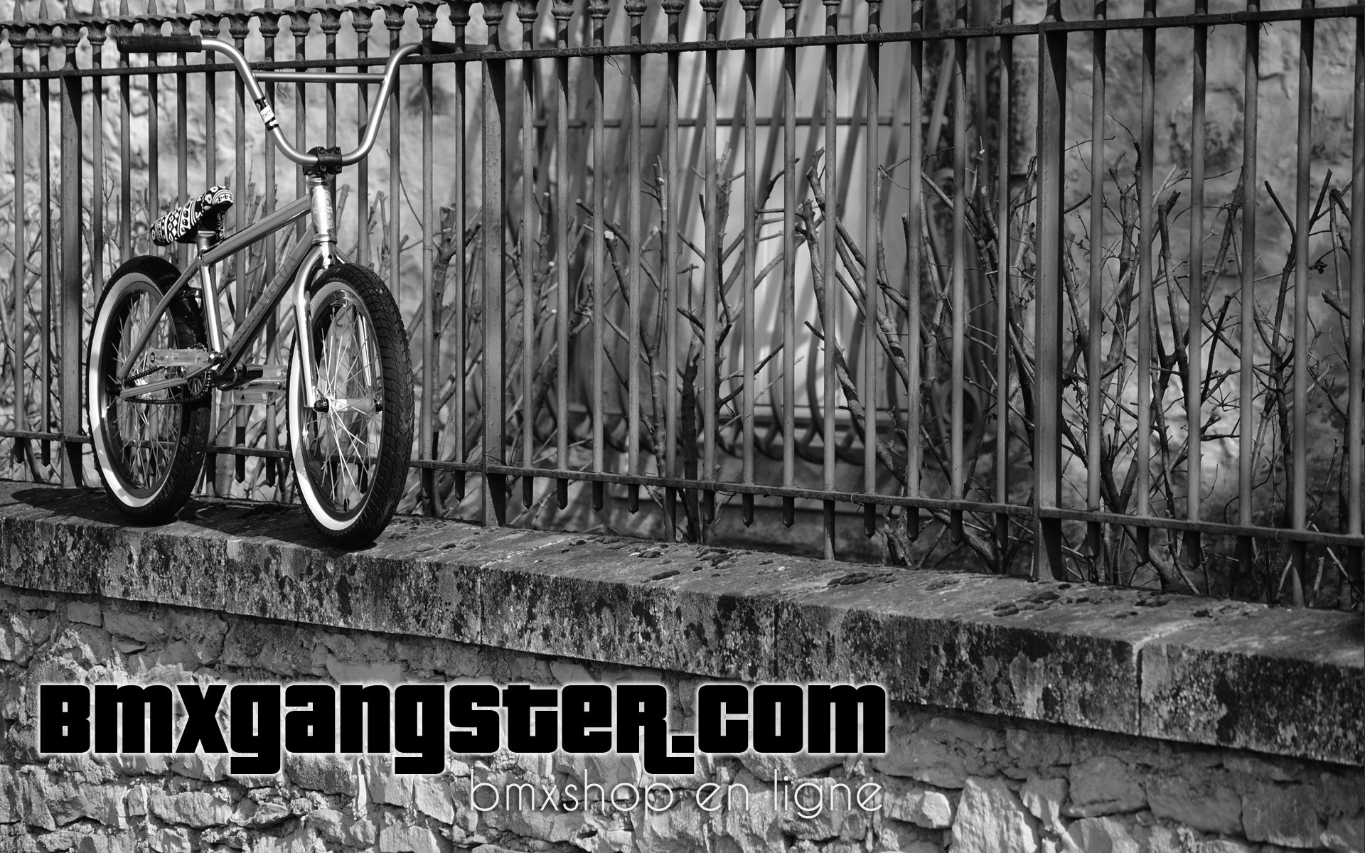 Fonds d'cran Sports - Loisirs BMX Bmxgangster - federal bike custom