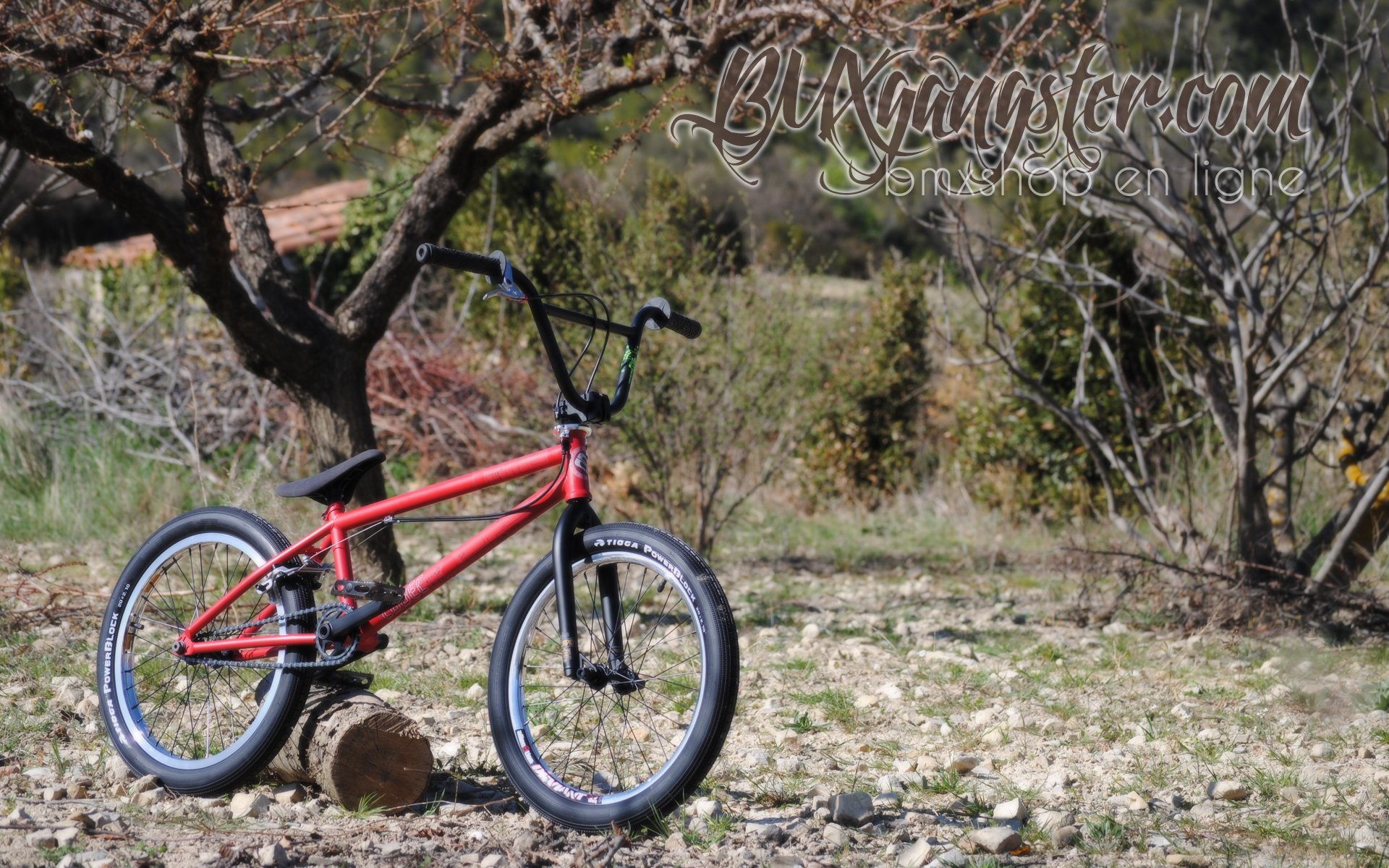 Fonds d'cran Sports - Loisirs BMX Bmxgangster - eastern bike custom