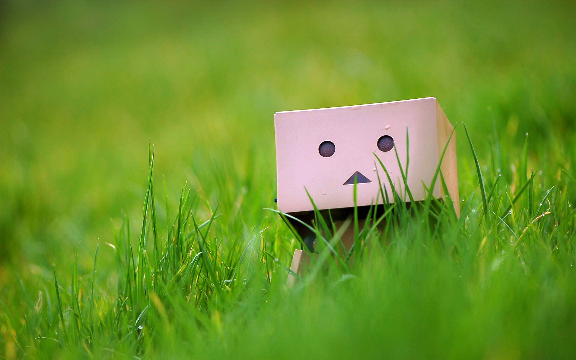 Wallpapers Objects Danbo Danbo powa !