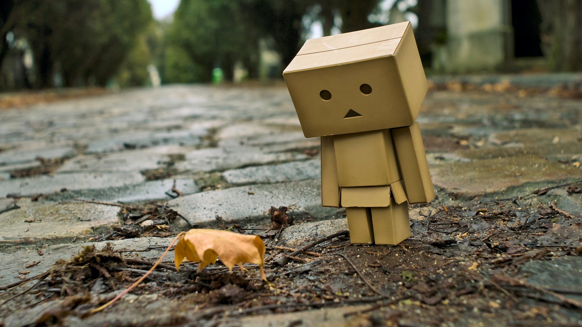 Wallpapers Objects Danbo Danbo powa !