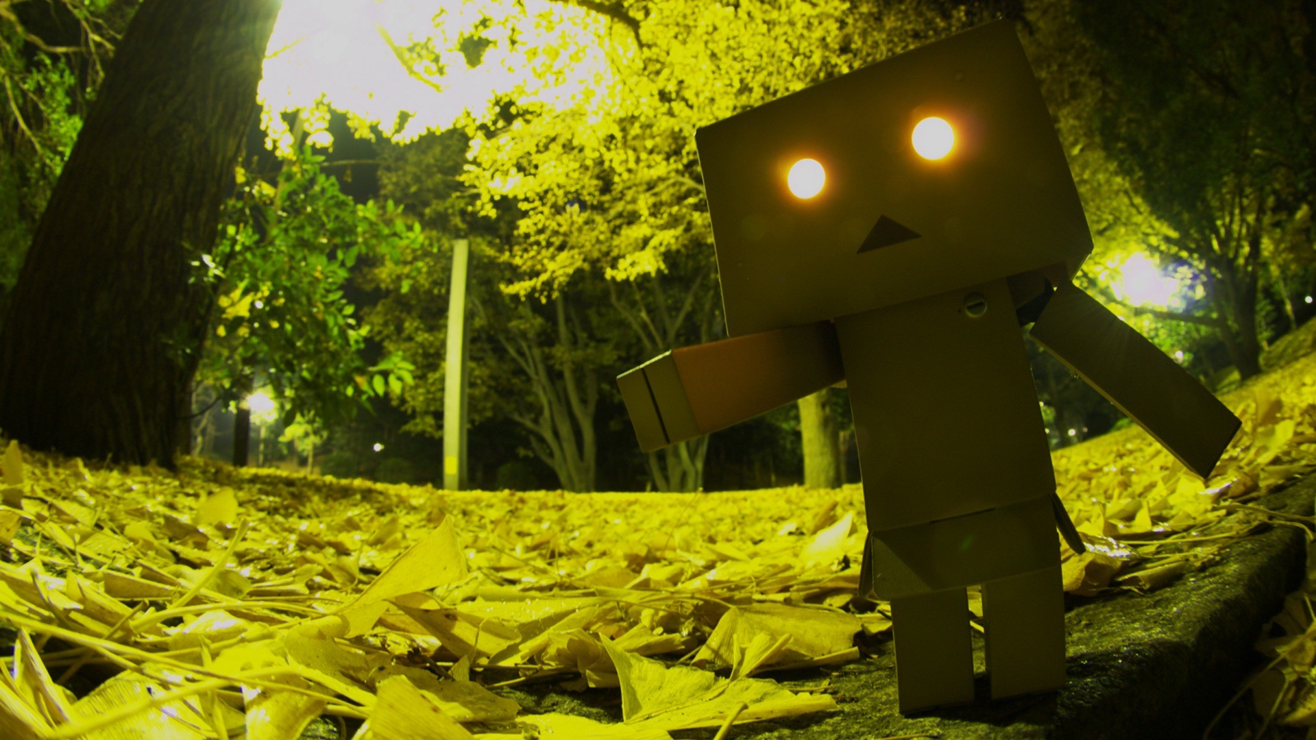 Wallpapers Objects Danbo Danbo powa !