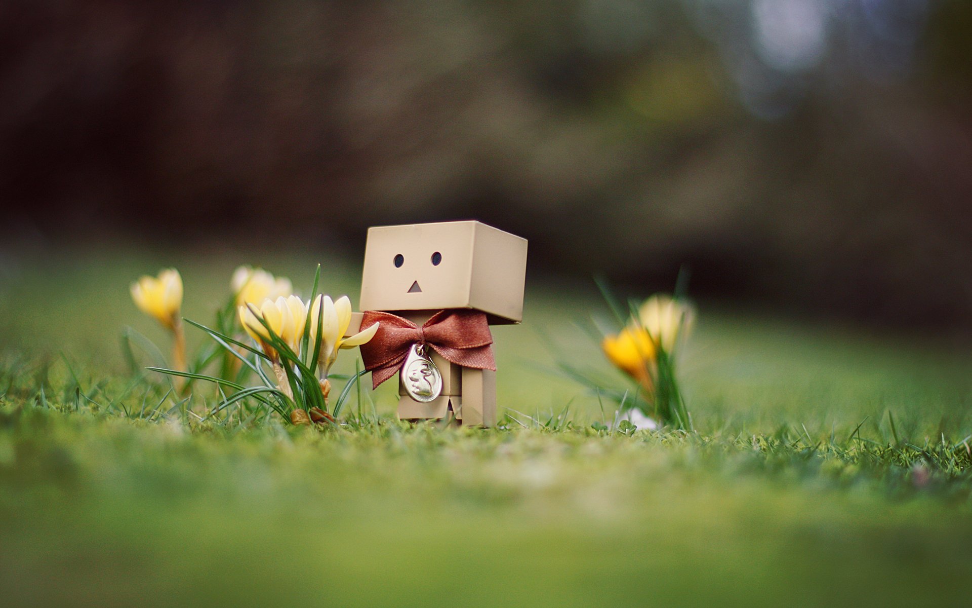 Wallpapers Objects Danbo Danbo powa !