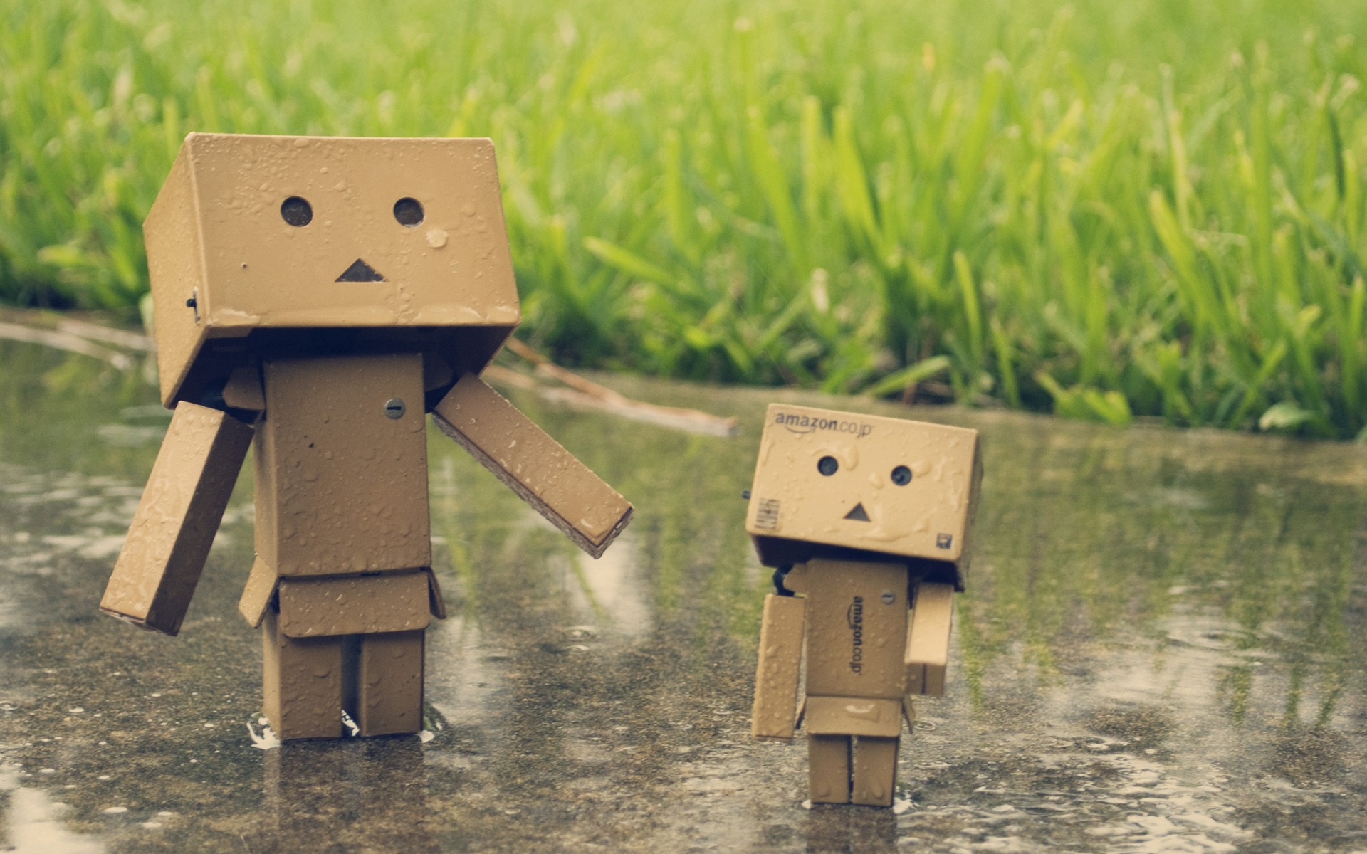 Wallpapers Objects Danbo Danbo powa !