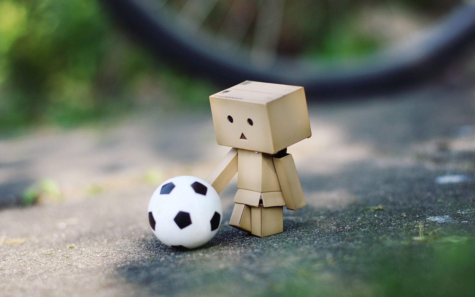 Wallpapers Objects Danbo Danbo powa !