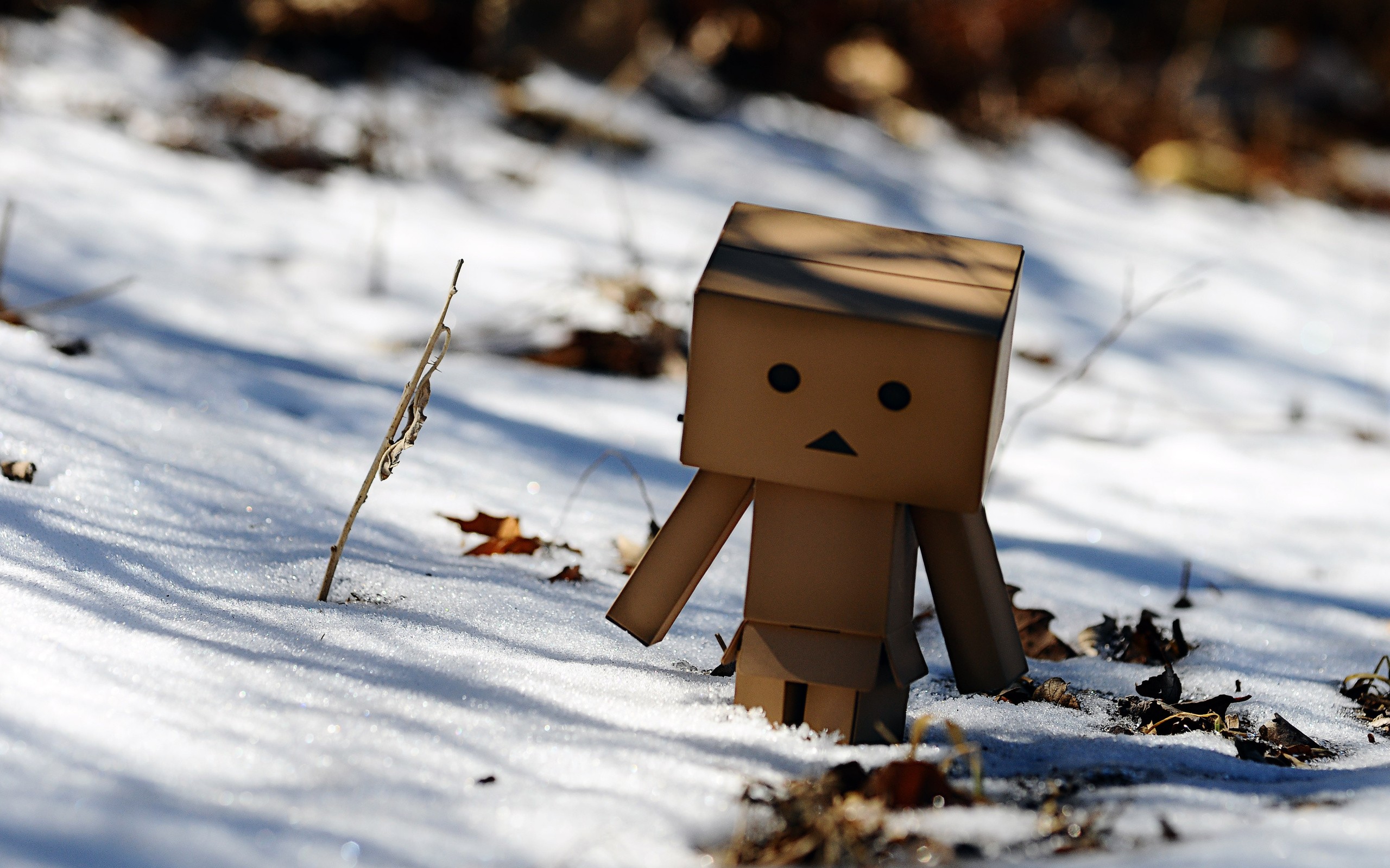 Wallpapers Objects Danbo Danbo powa !