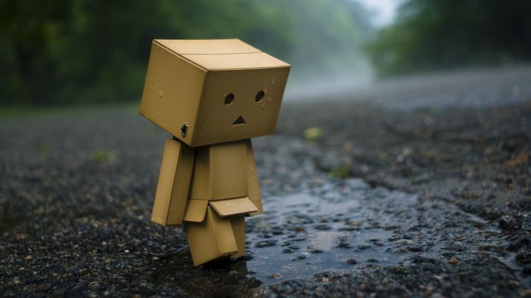 Wallpapers Objects Danbo Danbo powa !