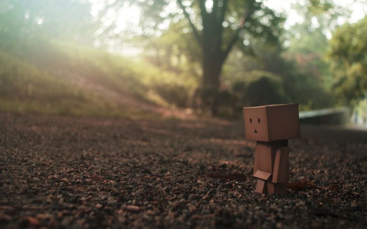 Wallpapers Objects Danbo Danbo powa !