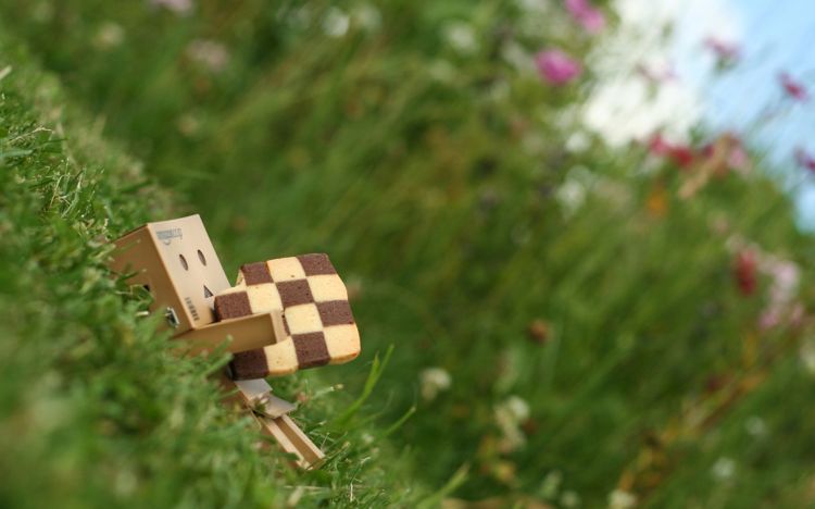 Wallpapers Objects Danbo Danbo powa !