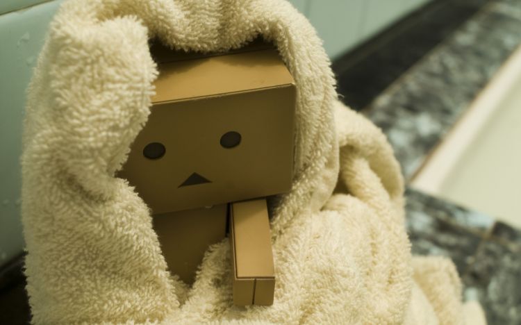 Wallpapers Objects Danbo Danbo powa !