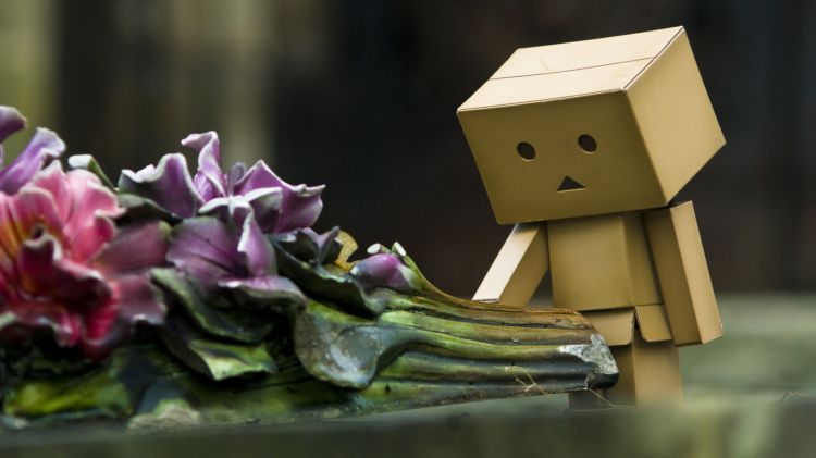 Fonds d'cran Objets Danbo Danbo powa !