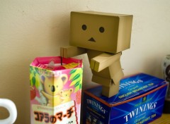  Objets Danbo powa !