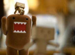  Objects Danbo powa !