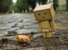  Objets Danbo powa !