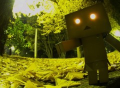  Objects Danbo powa !