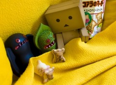  Objects Danbo powa !