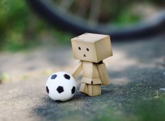  Objects Danbo powa !