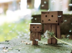  Objets Danbo powa !