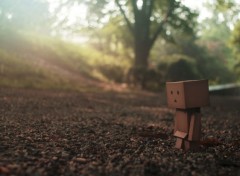  Objects Danbo powa !