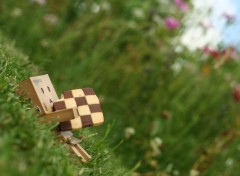  Objects Danbo powa !