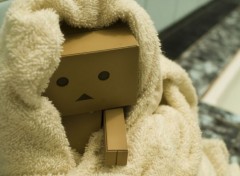  Objects Danbo powa !